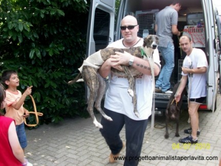 Fotogallery del 4 luglio 2010 i cani salvati da Progetto Animalista Per La Vita