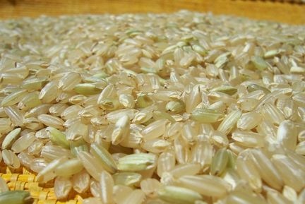 chicchi di riso