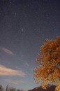 Foto panoramica con quercia e cometa 17P/Holmes