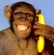 scimmia con banana