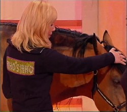trattamento reiki dimostrativo su di un cavallo eseguito in tv