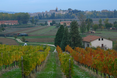 Paesaggio Rurale Citta Del Vino Sostiene Disegno Di Legge