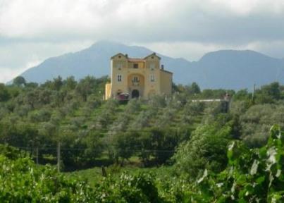 Dal 27 al 29 agosto in scena la XXXIII edizione della Festa del Vino di Castelvenere, borgo del Sannio beneventano noto per essere il più vitato della Campania.