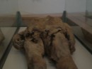 Le Mummie di Venzone