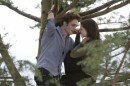 Tutte le foto di Twilight!