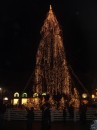 Le luci di Natale a Palermo