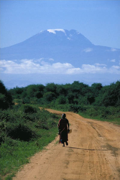 Amboseli: un maasai in mezzo alla savana