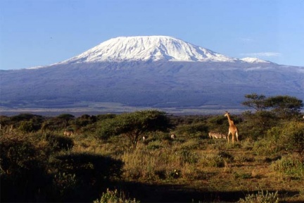 Masai Mara: twiga na Kilimanjaro