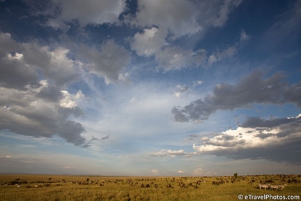 Masai Mara, spettacolo sconfinato