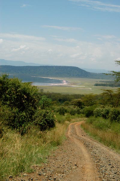Nakuru, pista che porta al lago