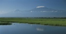 Amboseli: vista del Kilimanjaro dalla palude.