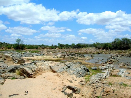 Tsavo east: fiume Voi.
