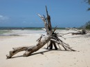 Immagini varie della costa, spiagge e del mare del Kenya. Kenya beach e marine pics