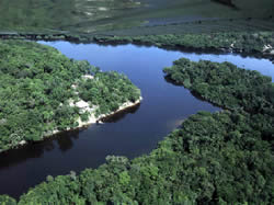 Amazzonia