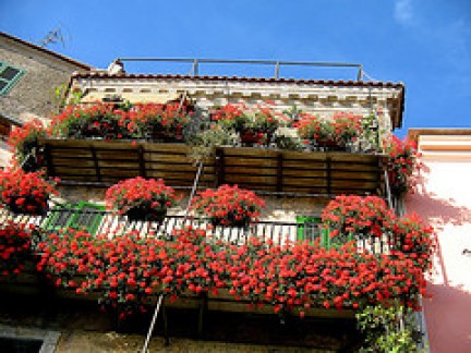 Nemi e i balconi fioriti