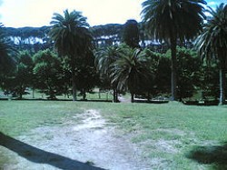 Il parco di Villa Ada