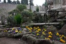 I giardini di Villa Celimontana