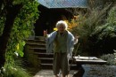 Tutte le foto di Bilbo Baggins e dell'attore che lo interpreta, Ian Holm