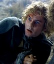 le immagini dei due hobbit e degli attori che gli interpretano