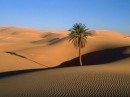 Foto del deserto