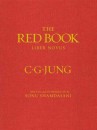 Immagini del Libro rosso di Jung