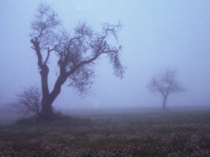 Paesaggi con nebbia, cimiteri