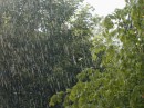 Immagini di pioggia