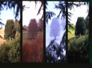 Immagini delle quattro stagioni