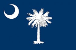 Bandiera dello stato del South Carolina
