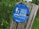 Pine Bush