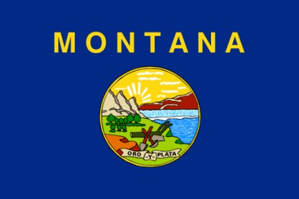 Bandiera del Montana