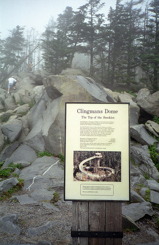 Clingman's Dome Trail