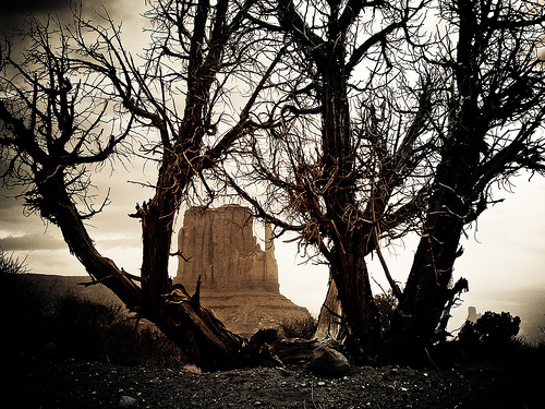 Monument Valley vista tra gli alberi