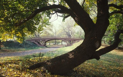 Gothic Bridge - Central Park, New York gli alberi cedono foglie all'autunno