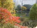 Arriva l'autunno a New York con i suoi spettacolari colori