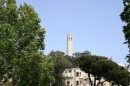 Coit tower vista da Washington square