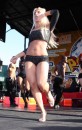 Brooke Hogan Sexy Lap Dancer